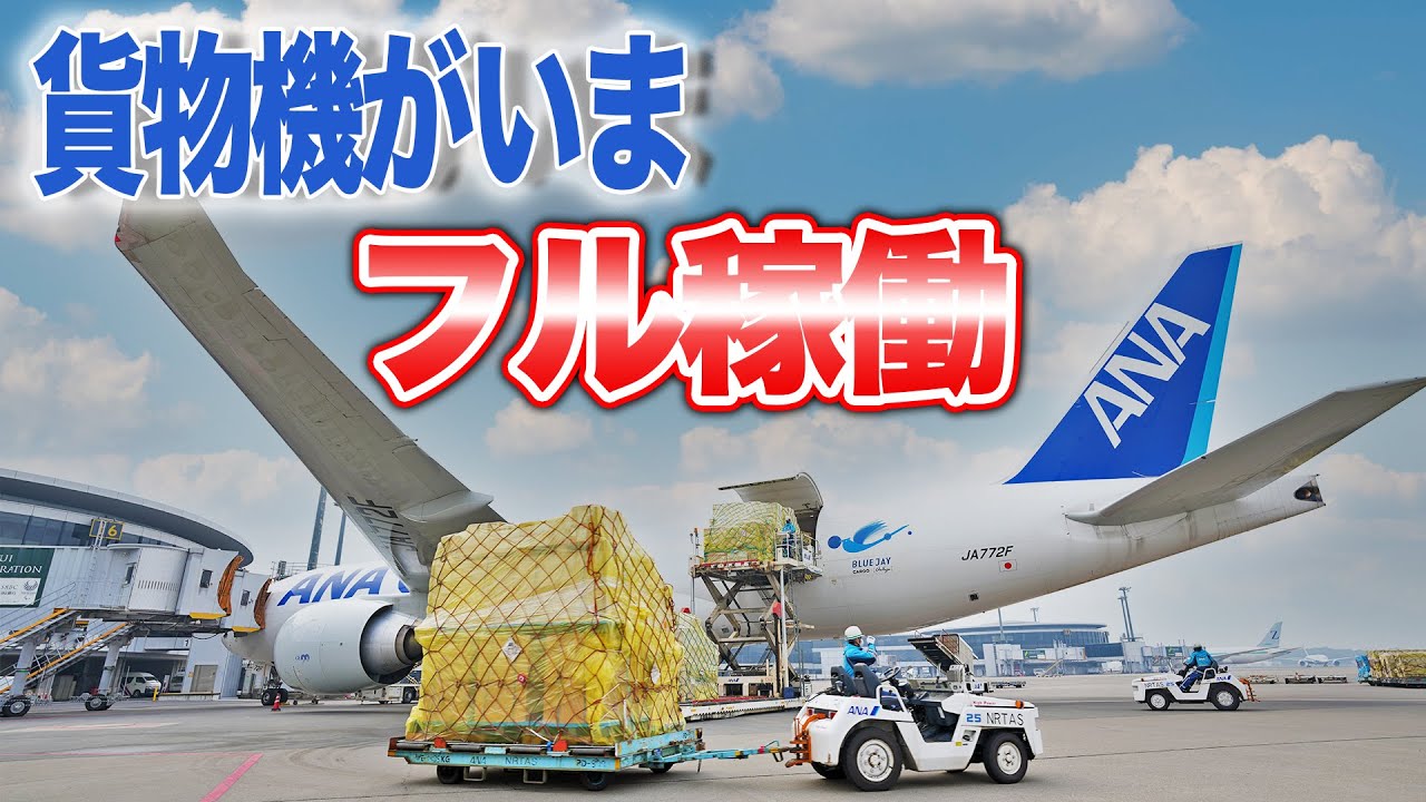 巨大貨物機】ANA CargoのB777-Fが台北に初投入！|乗りものチャンネル