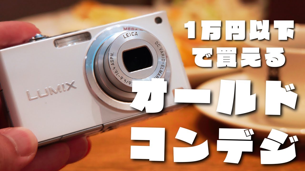 How about a compact digital camera that can be purchased for under
