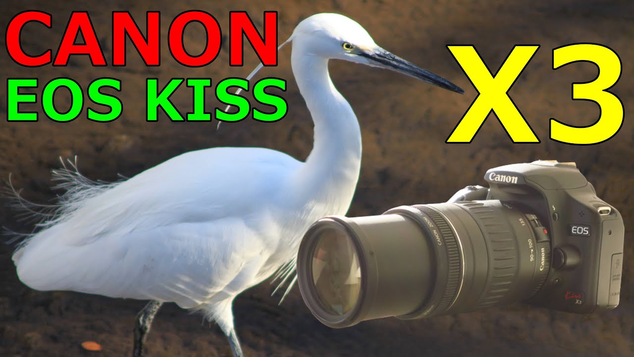 初心オススメ⭐️Canon EOS kiss X3 動作確認済み ⭐️美品⭐️Canon