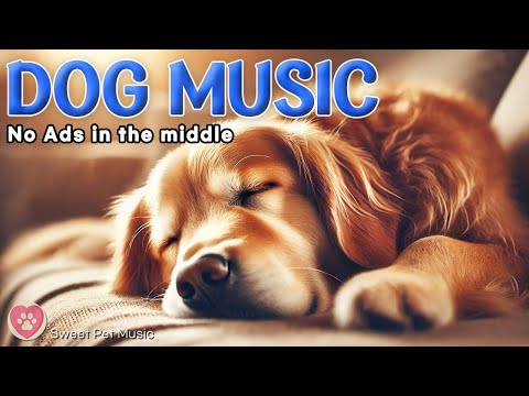 Calming Music for Dogs 🦮💖 Stress Relief & Relaxation