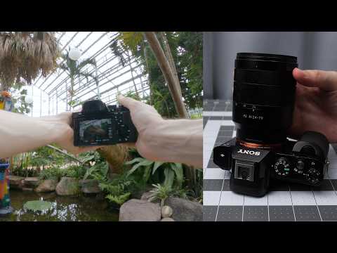 Sony A7s & FE 24-70mm f/4 ZA OSS lens at a conservatory. - YouTube