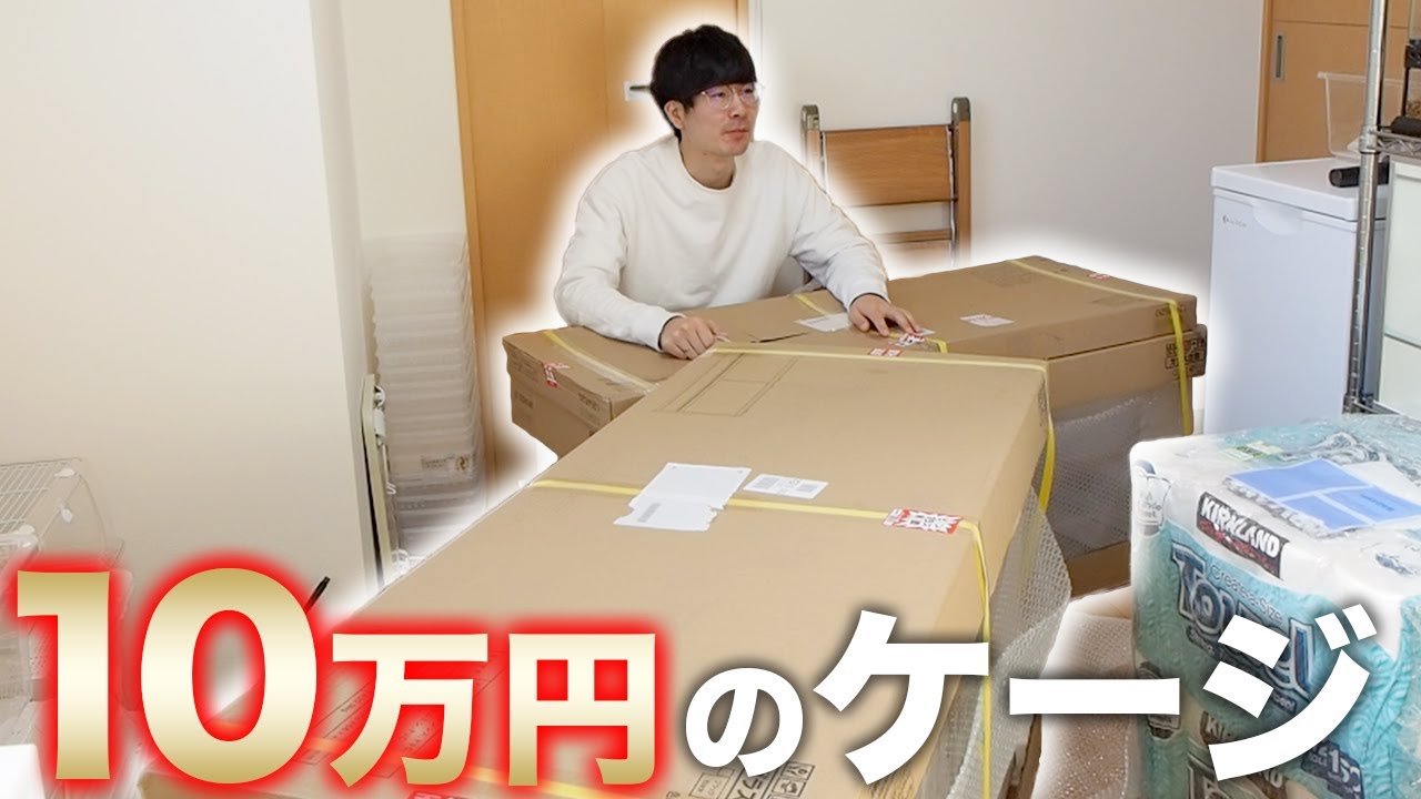 The reptile cage I bought for 100,000 yen was amazing! - YouTube