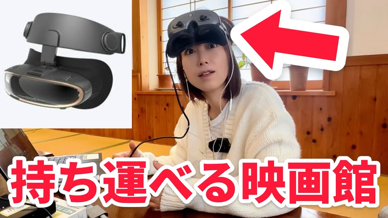 レビュー】すごい、ヘッドマウントディスプレイを紹介してみた！【狩