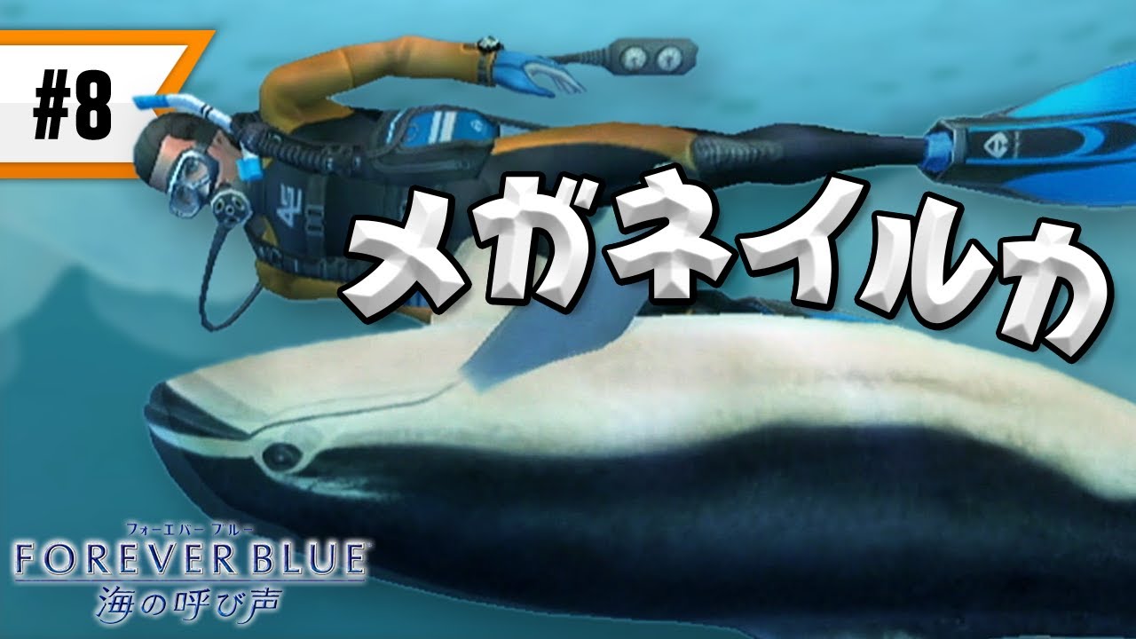 FOREVER BLUE 海の呼び声 #8 超レアな生物『メガネイルカ』と友達に