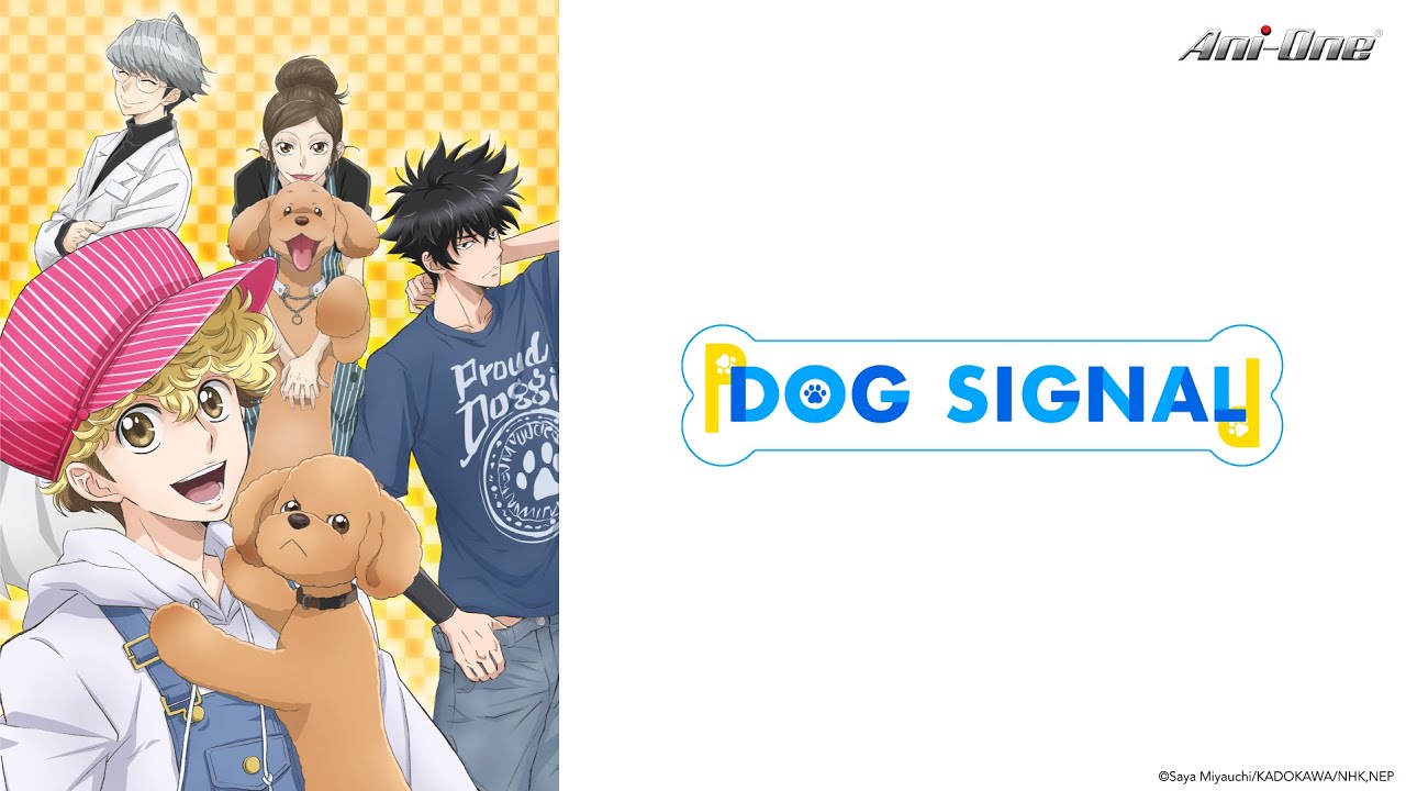 Dog Signal - YouTube