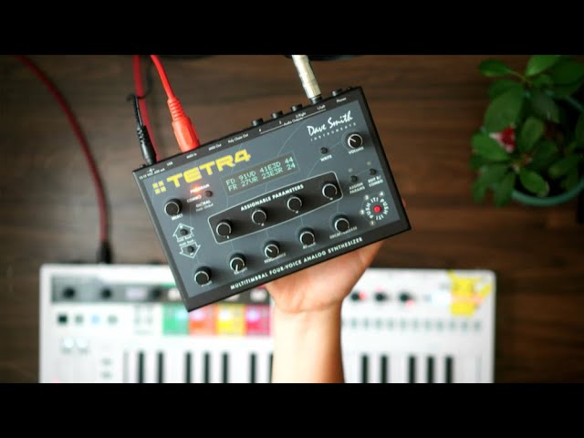 Dave Smith TETRA // The Tiniest 4 Voice Analog Poly Synth! [ Ep
