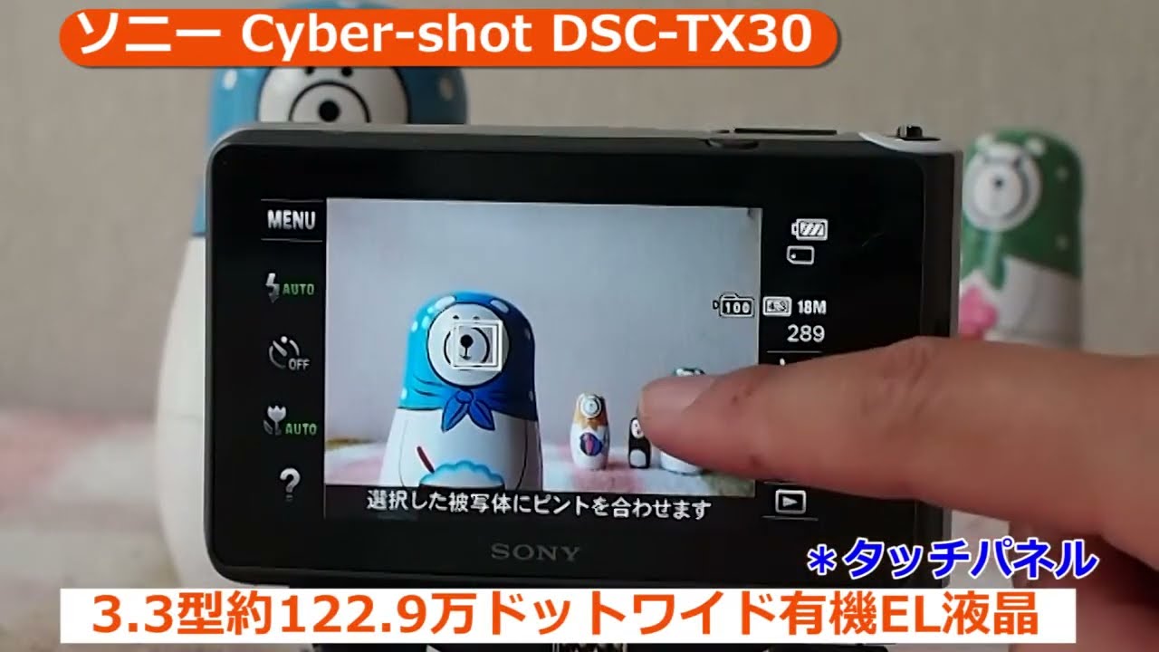 ソニー Cyber-shot DSC-TX30 S シルバー | コンパクトデジタルカメラ