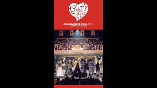 go!go!vanillas - 2024.11.10 両国国技館「東京 Lab. ストーリー