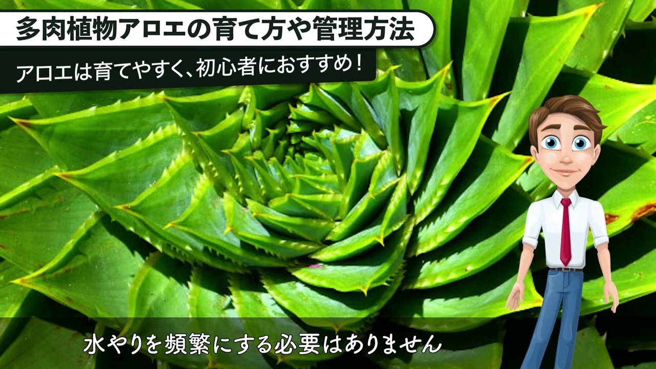 maxresdefault.jpg?sqp=-