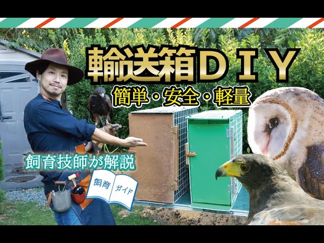 猛禽類の輸送箱DIY】簡単・安全・軽量・コスパ最高なタカ、フクロウ