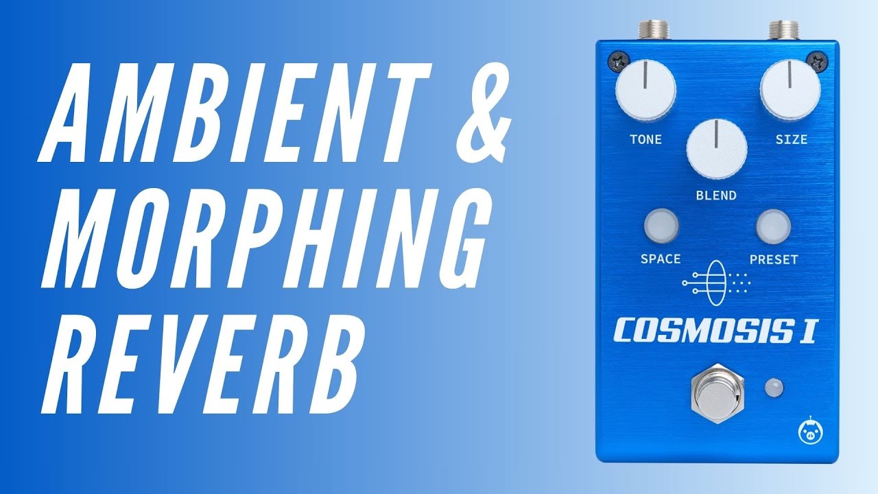 Cosmosis 1 - Pigtronix