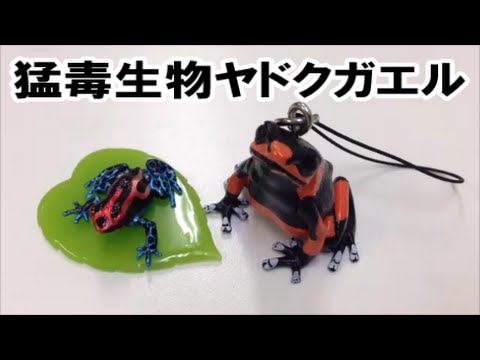 ネイチャーテクニカラーMONO ヤドクガエル マグネットxストラップ