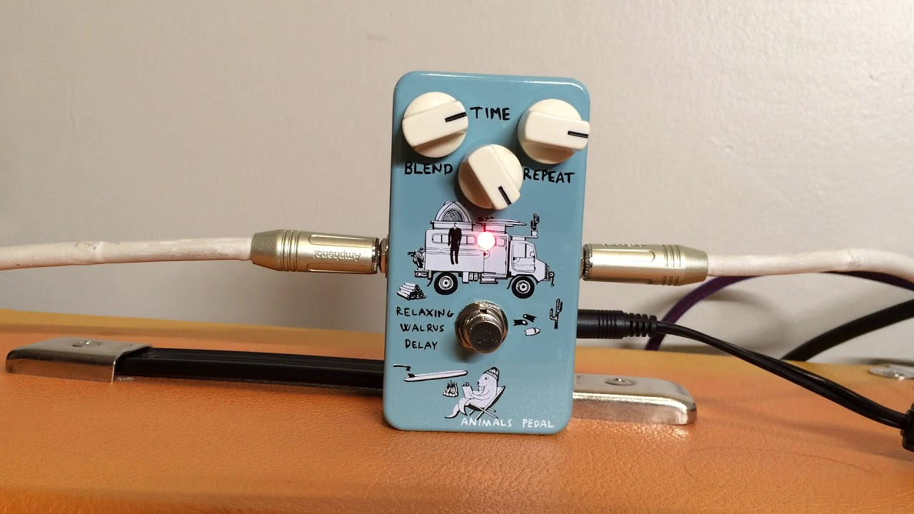 Animals Pedal RELAXING WALRUS DELAY – Animals Pedal USA