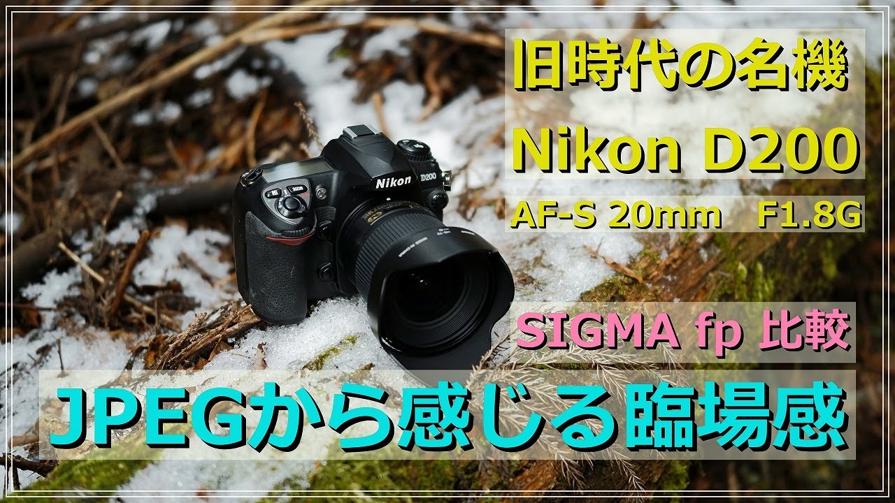 The legendary Nikon D200: JPEG forest snapshots with a sense of