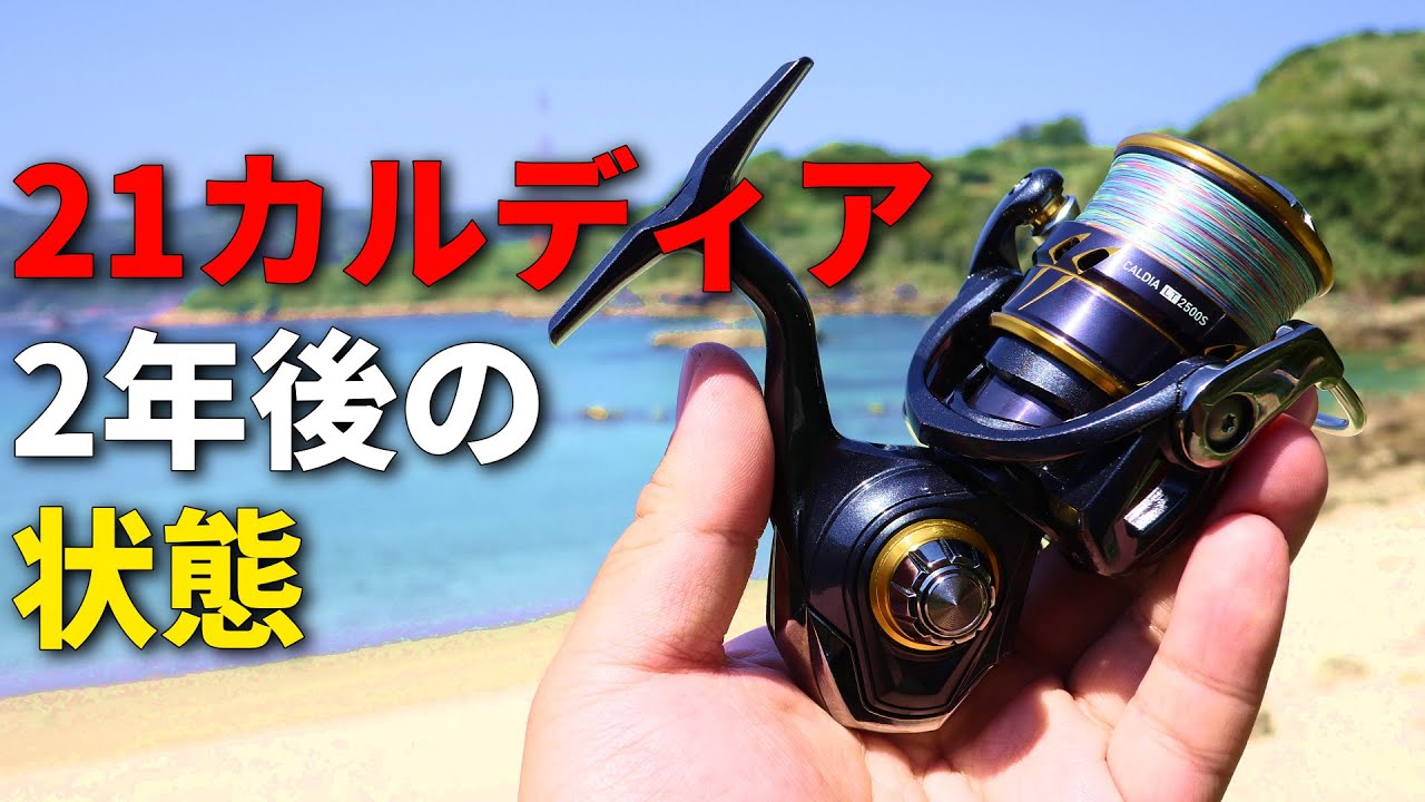 The results of using the 21 Caldia, an extremely cost-effective