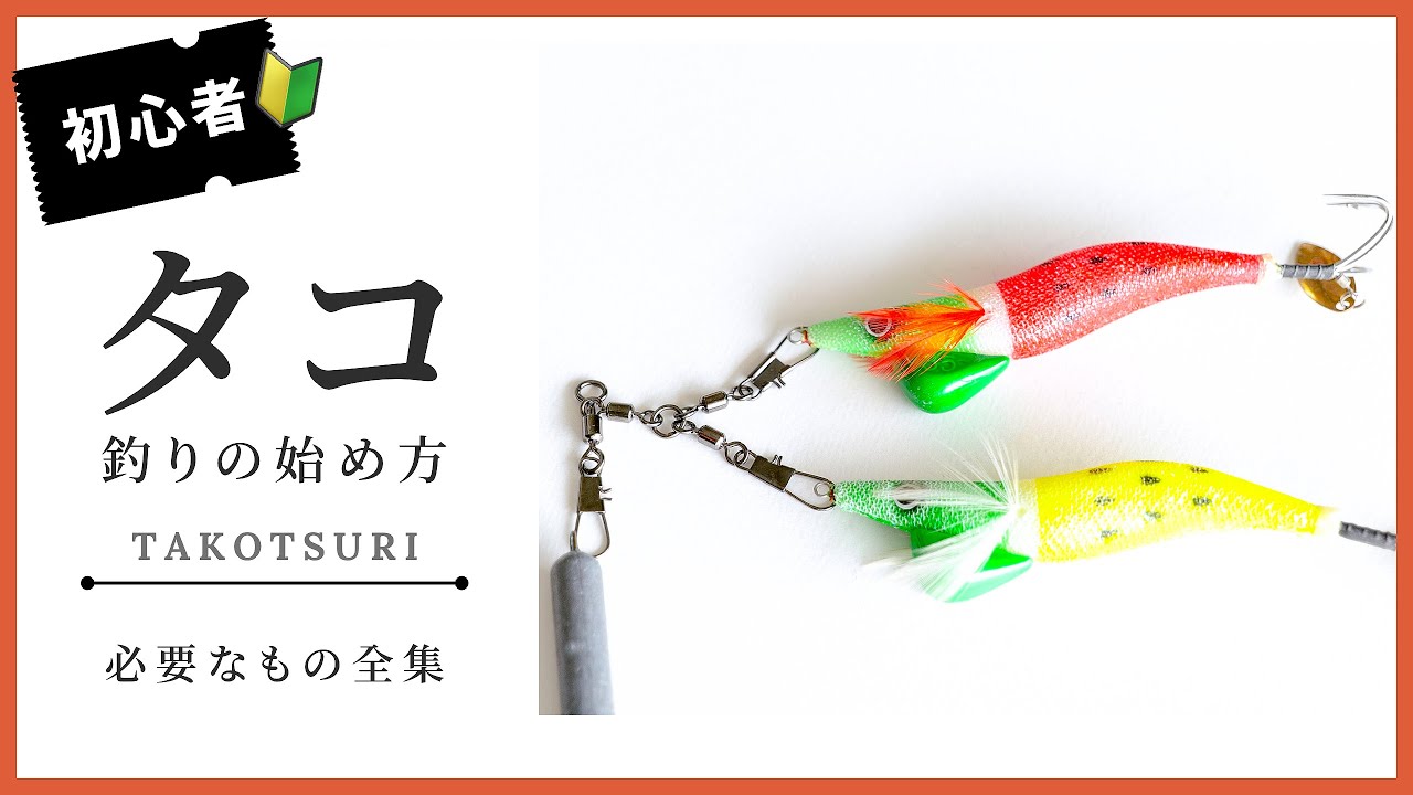 入門編】夏といえばタコ!タコ釣りの始め方をご紹介します/タコ釣りの