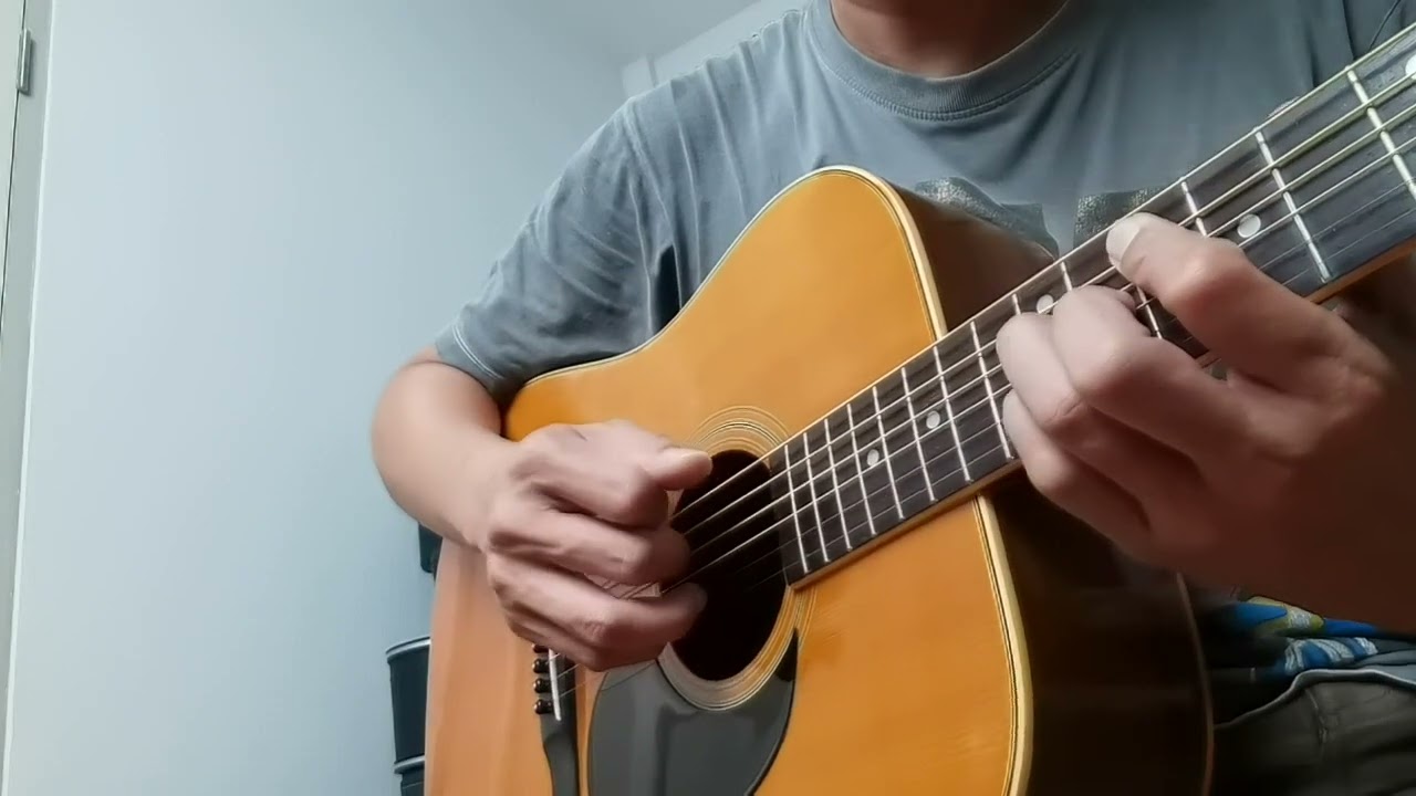 JAPANビンテージ Aria W-250/オマケ付き JAPANビンテージ Aria W-250