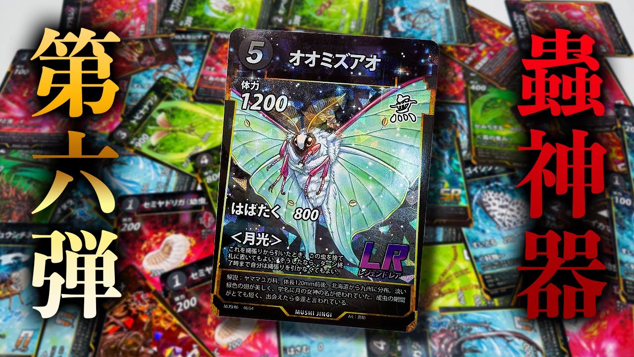 Latest] The results of opening the sixth installment of the