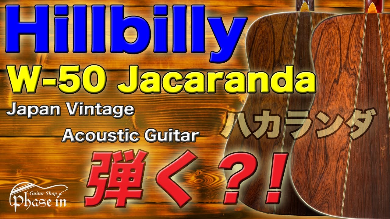 Hillbilly W-50 Jacaranda '70s Japan Vintage Acoustic Guitar 弾く