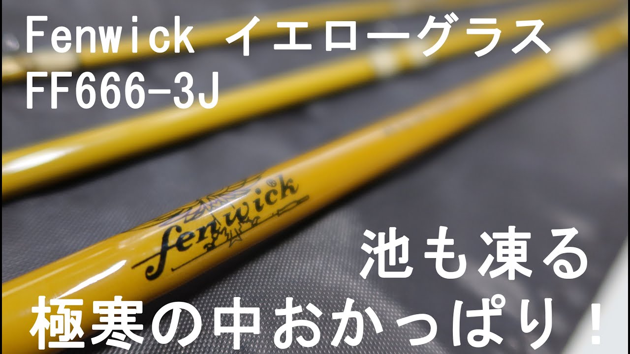 フライフィッシング】フェンウィック イエローグラス FF666-3J を