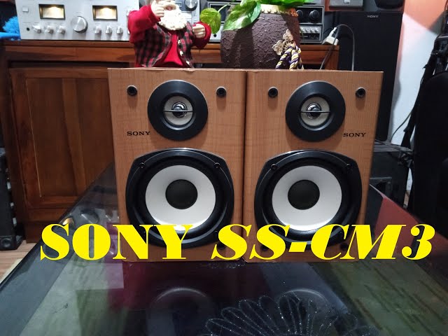 SONY SS-CM3 - YouTube