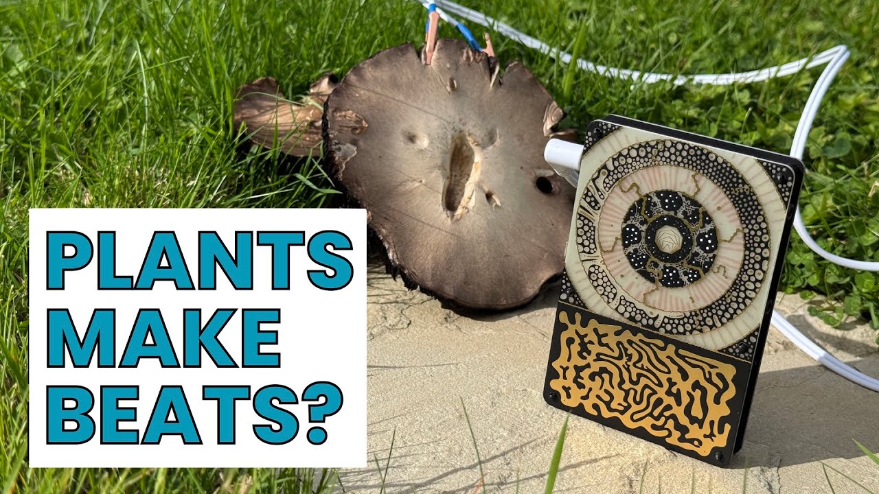 First Look at the Instruo Pocket Scion | Generative Music from