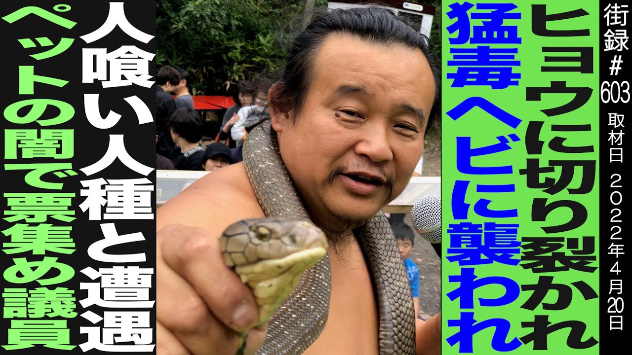 パンク町田/ヒョウに切り裂かれ、猛毒ヘビにおそわれ…/ペット業界の闇