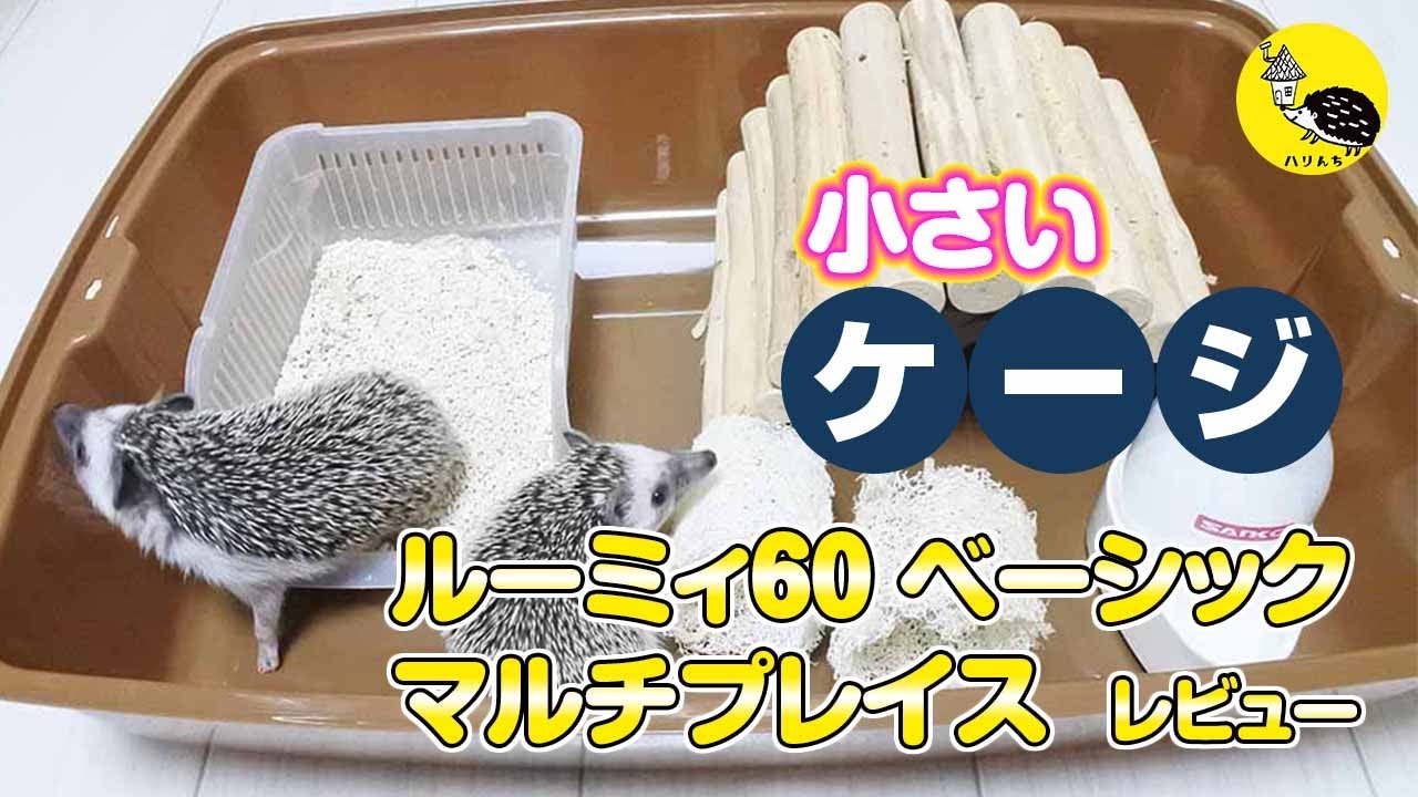 ハリネズミの小さいケージレビュー「マルチプレイス」