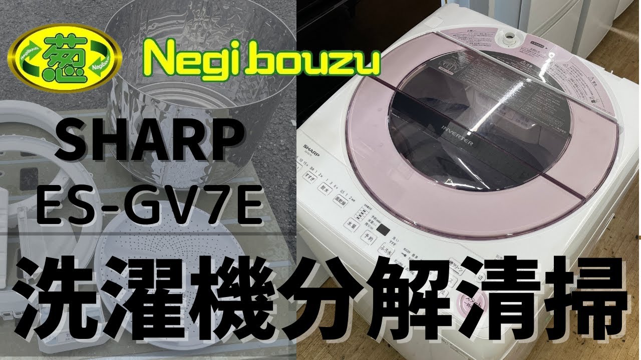 ハイセンス 全自動 洗濯機 5.5kg HW-E5504 分解と掃除のやり方 - YouTube