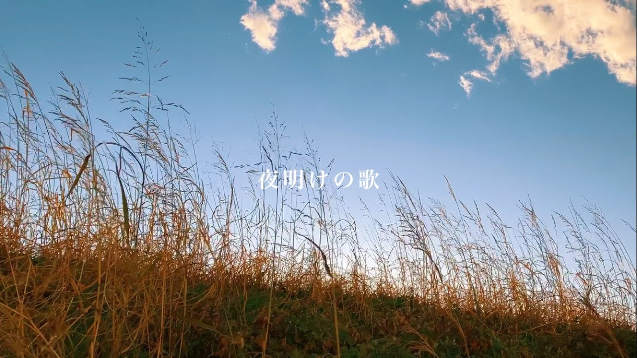 ハンブレッダーズ | JOIN ALIVE 2025