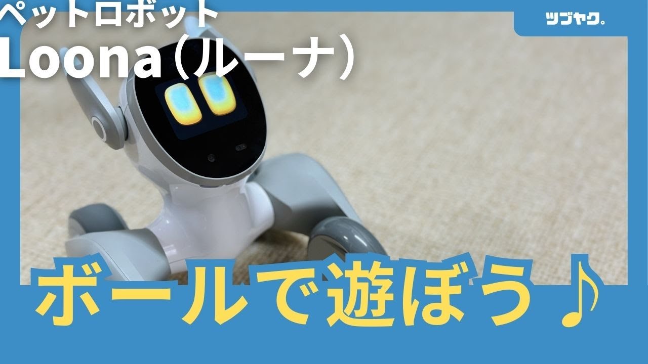 ペットロボット Loona（ルーナ）をレビュー｜Blueも登場♪豊か過ぎる