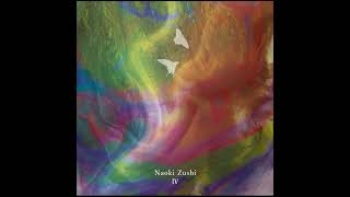 頭士奈生樹 Naoki Zushi - IV (2LP) – Meditations