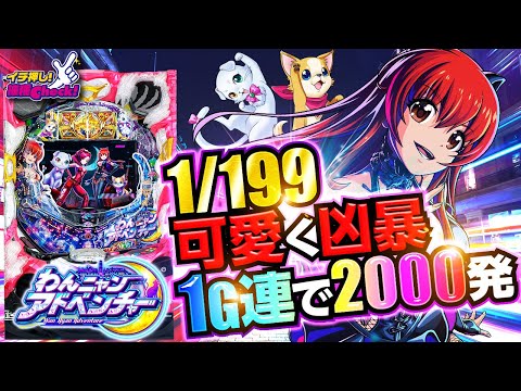 hqdefault.jpg?v=64d369f9