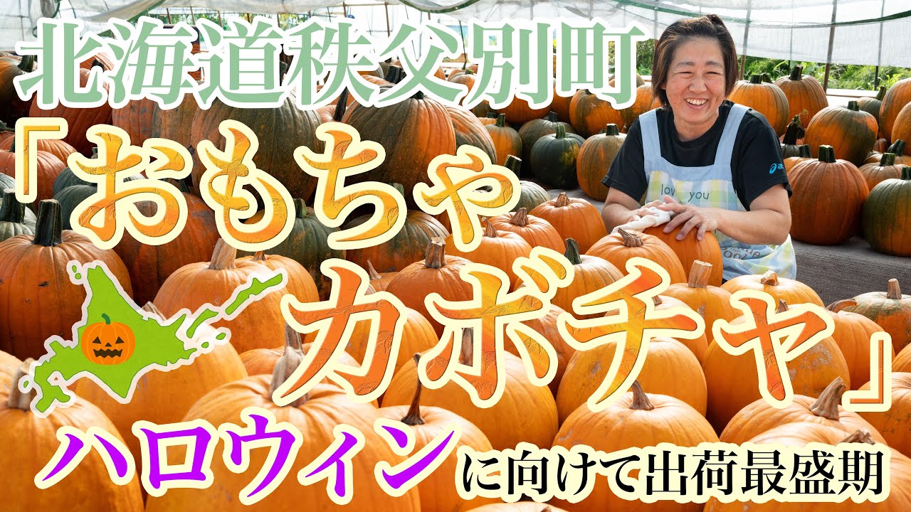 ハロウィーンが楽しくなる「おもちゃカボチャ」（北海道秩父別町