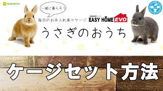 チャーム】うさぎ飼育ケージ♪ SANKOイージーホームエボ80のセットで