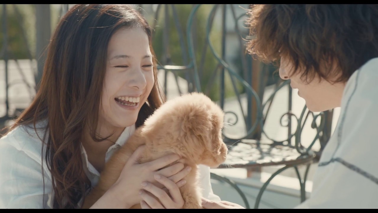 吉高由里子 × 横浜流星 『きみの瞳が問いかけている』予告編 - YouTube