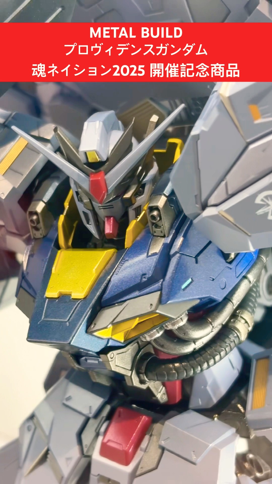 本日発送】メタルビルド プロヴィデンスガンダム 魂ネイション2025 魂