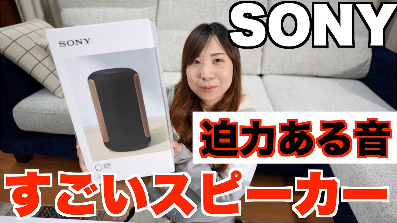 SONY ワイヤレススピーカー SRS-RA3000(H)ライトグレー | パンダ