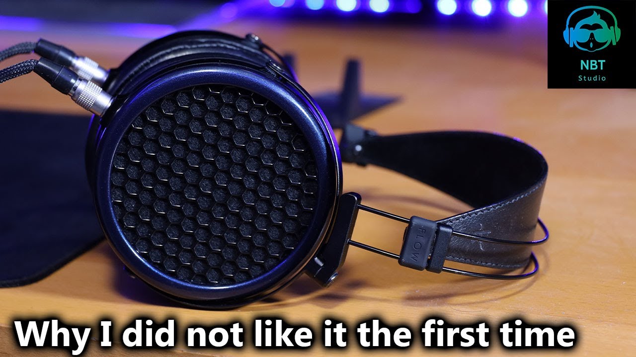MrSpeakers Ether Flow 1.1 Headphone review ! Why I did not like it
