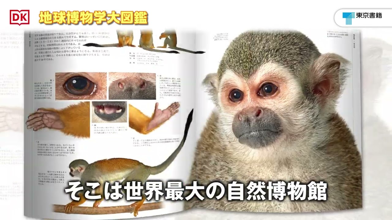 ページをひらけば、そこは世界最大の自然博物館！『地球博物学大図鑑