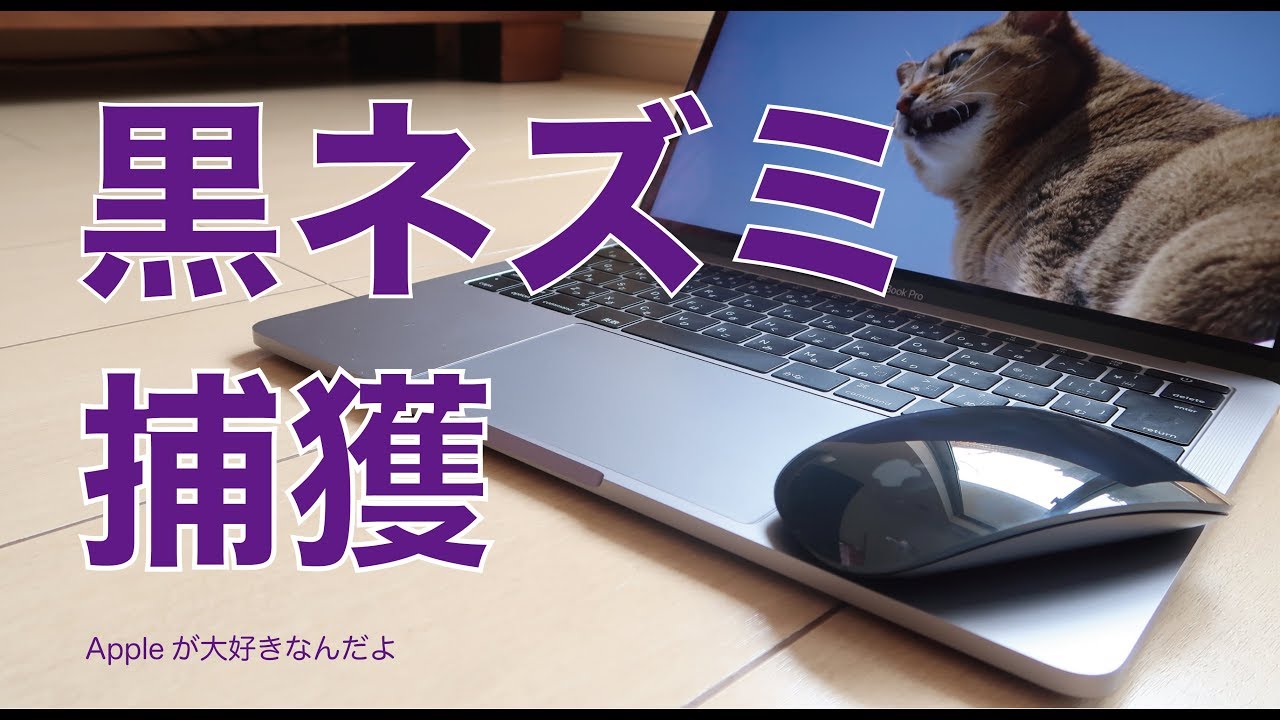 新製品スペースグレイのMagic Mouse 2（単品売）・Appleの黒ネズミを