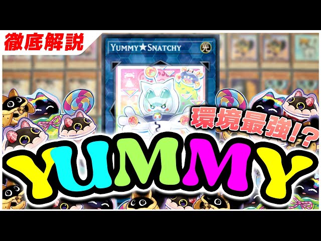 遊戯王大会優勝構築 ヤミーデッキメイン40枚＋EX15枚 遊戯王大会優勝