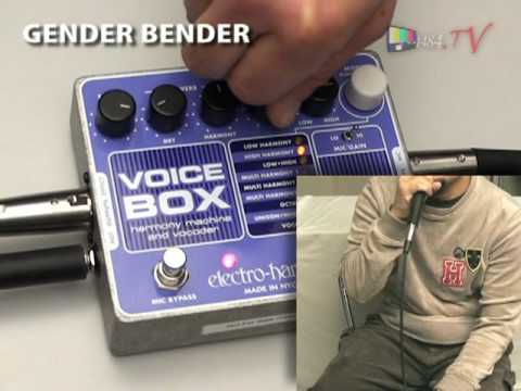 石橋楽器店】 Electro-Harmonix VOICE BOX 【Creator's Choice】 - YouTube