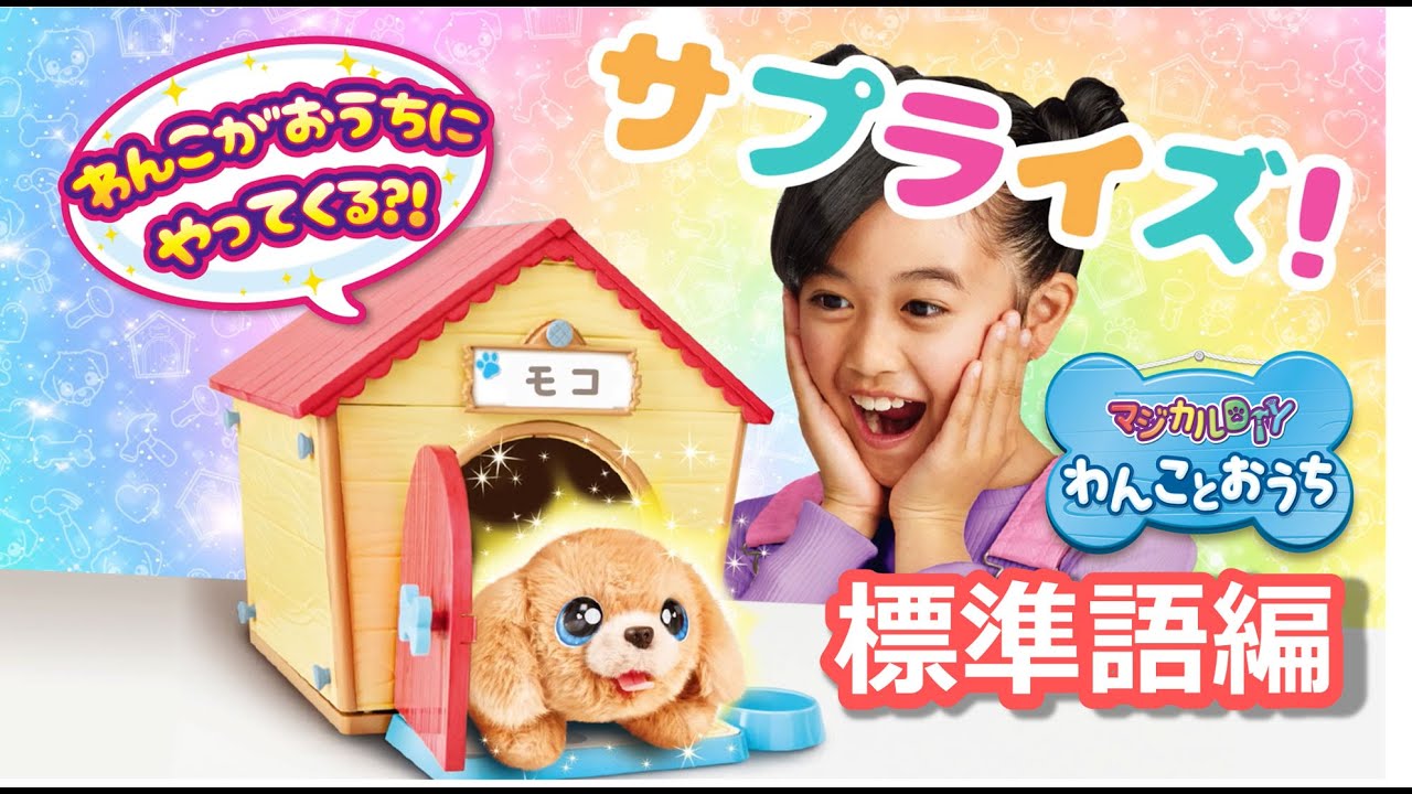 マジカルDIY わんことおうち｜ベストフレンドペット｜限定品や新作も