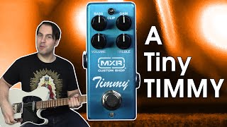 A Boutique LegendMINIATURIZED! | MXR Custom Shop Timmy
