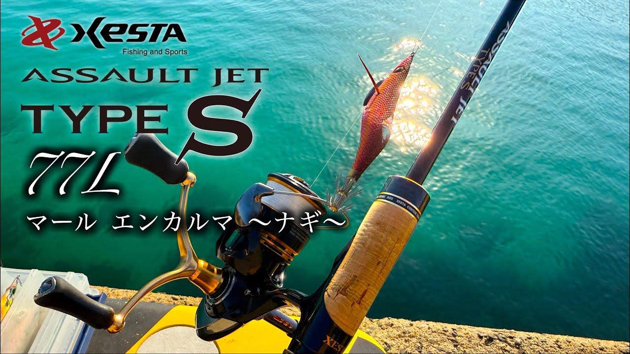 Here are our impressions of the ultimate egging rod, the Assault