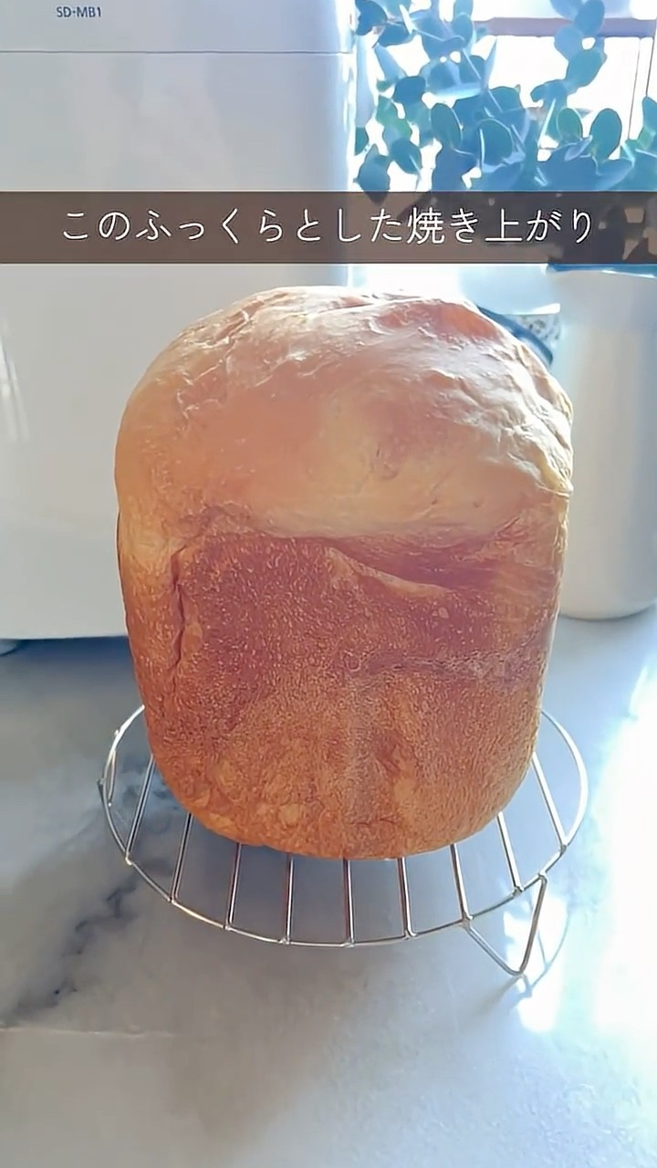 高級生食パン】パナソニックホームベーカリーで「おうち乃が美