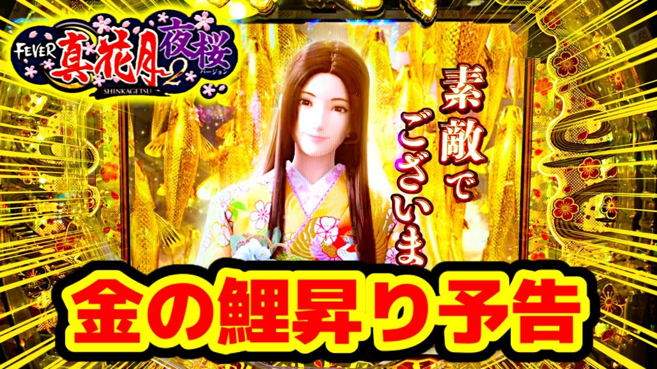 PF Shinkazuki 2 Night Cherry Blossom Version Pre-order confirmed