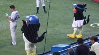 We Are The Swallows』 by 林田 健司 in 神宮球場 - YouTube