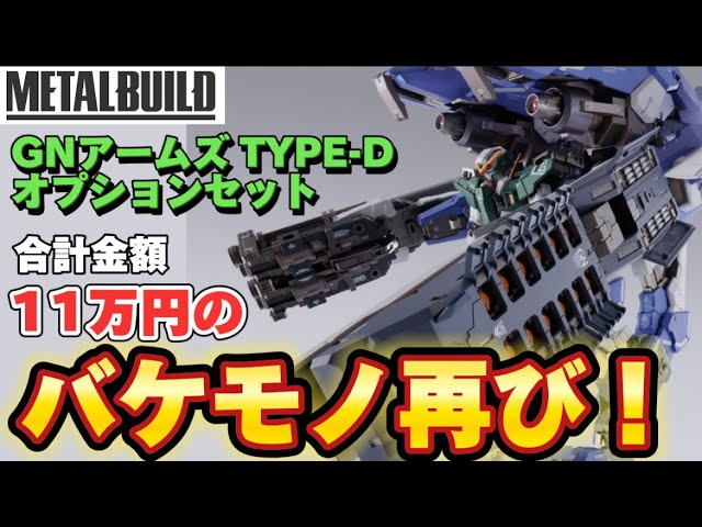 合計11万円のバケモノ再び！】METAL BUILD GNアームズ TYPE-D
